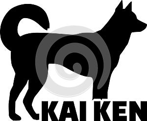 Kai ken silhouette word