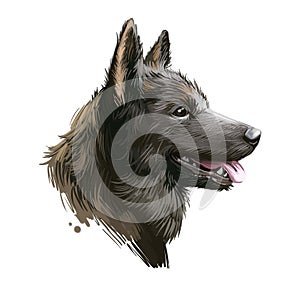 Kai Ken, Tora dog, Kai dog digital art illustration isolated on white background. Japan origin asian purebred northern breed dog.