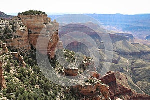 Kaibab Limestone Slab at Walhalla Overlook Grand Canyon