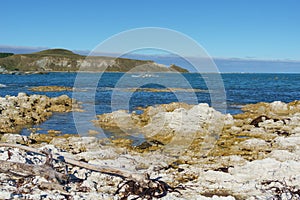 Kaikoura coastal views from end of Fyffe Quay New Zealand