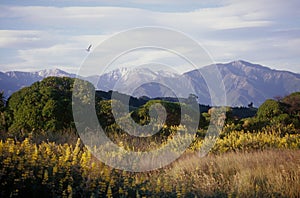 Kaikoura Ranges