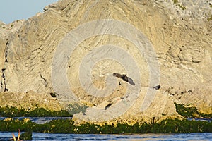 Kaikoura twisted rock layers