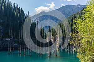 Kaindy lake - mountain lake in Kazakhstan