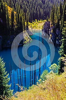 Kaindy Lake in Tien Shan mountain, Kazakhstan.