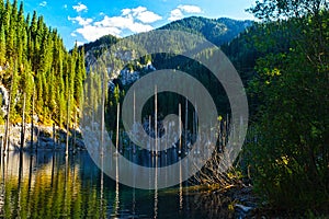 Kaindy Lake in Tien Shan mountain, Kazakhstan.