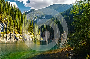 Kaindy Lake in Tien Shan mountain, Kazakhstan.