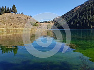 Kaindy mountain lake in Kazakhstan. Natural, forest.