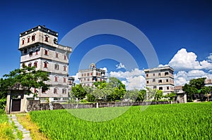 Kaiping Diaolou Village rice paddy