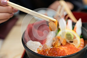 Kaisen Don Sashimi seafood Rice Bowl served in a black Bowl, Japanese food