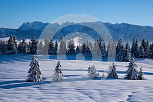 The Kaiser Gebirge in Tyrol Austria in winter photo