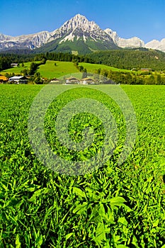 Kaisergebirge in Austria