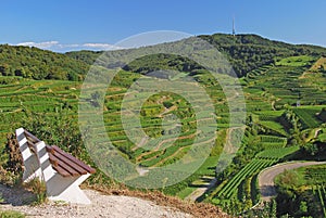 Kaiserstuhl,black forest,germany