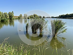Kaisevac lake or Grabovo reservoir or Grabovo-Kaisevac pond - Vukovar, Croatia / Jezero KaiÅ¡evac ili akumulacija Grabovo