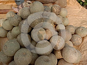 Kaitha fruit or elephent fruit stall