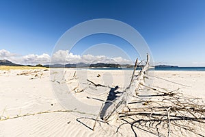 Kaitoke Beach, Great Barrier Island, NZ