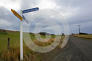 Kaka Point, Cannibal Bay road sign