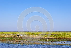 Kakadu National Park (Northern Territory Australia)