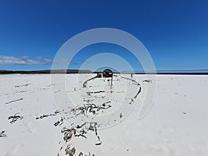 Kakapo Wreak Noordhoek Beach photo