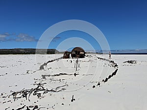 Kakapo Wreak Noordhoek Beach Western Cape