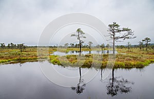 Kakerdaja Bog