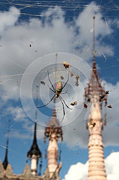 Kakku-spider, Myanmar photo