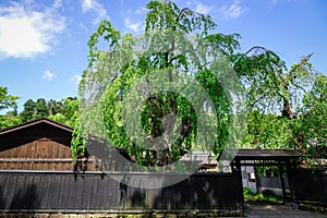 Kakunodate Samurai Village in Akita, Japan