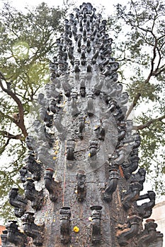 Kal Bhairav temple ,Ujjain, Madhya Pradesh