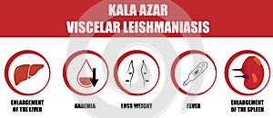 Kala azar symptoms. Viscelar leishmaniasis disease. Round icon. black fever photo