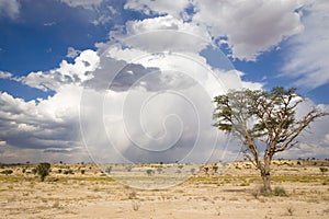 Kalahari clouds