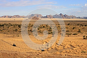 Kalahari desert