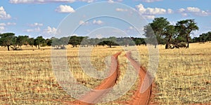 The Kalahari desert, Namibia