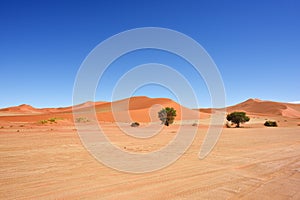 Kalahari desert, Namibia