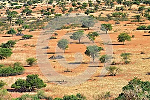 Kalahari desert, Namibia