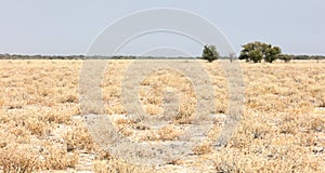 Kalahari desert, salt flat, no where, empty plain