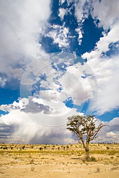 Kalahari storm