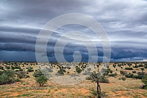 Kalahari Storm Clouds