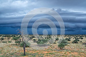 Kalahari Storm Clouds