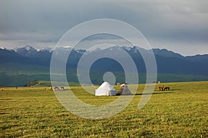 Kalajun grassland in the morning