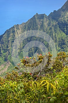 Kalalau Lookout, Kauai, Hawaii.