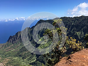 Kalalau Lookout in Waimea Canyon on Kauai Island, Hawaii.