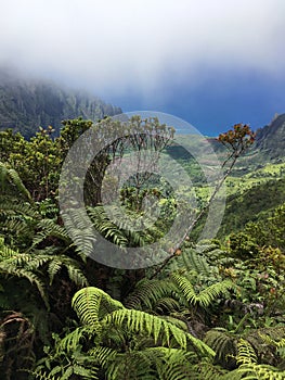 Kalalau Lookout in Waimea Canyon on Kauai Island, Hawaii.