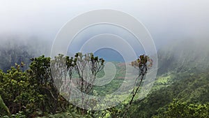 Kalalau Lookout in Waimea Canyon on Kauai Island, Hawaii.