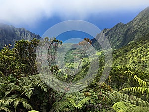 Kalalau Lookout in Waimea Canyon on Kauai Island, Hawaii.