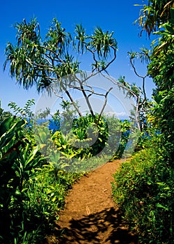 Kalalau trail, Kauai