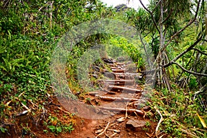 Kalalau trail in Kauai, Hawaii