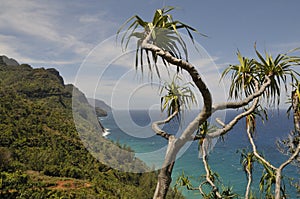 Kalalau trail in Kauai, Hawaii