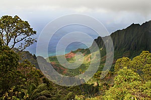 Kalalau Valley