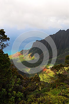 Kalalau Valley Overlook, Kauai (Hawaiian Islands)