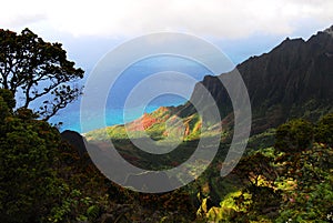 Kalalau Valley Overlook, Kauai (Hawaiian Islands) photo