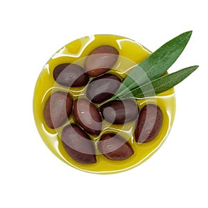 Kalamon Olives in Oil